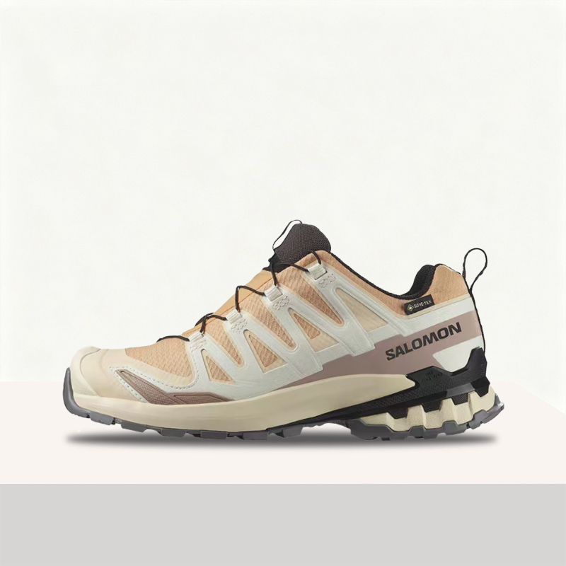 Salomon XA Pro 3D V9 GTX: A lo - Salomon Shoes Xa Pro 3D ulasan dan harga